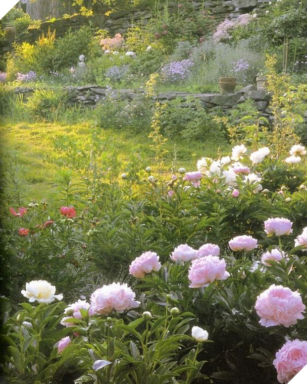 Ngôi nhà cổ tích có thật của bà cụ 92 tuổi khiến ai ai cũng phải trầm trồ, ước mơ - Ảnh 18.