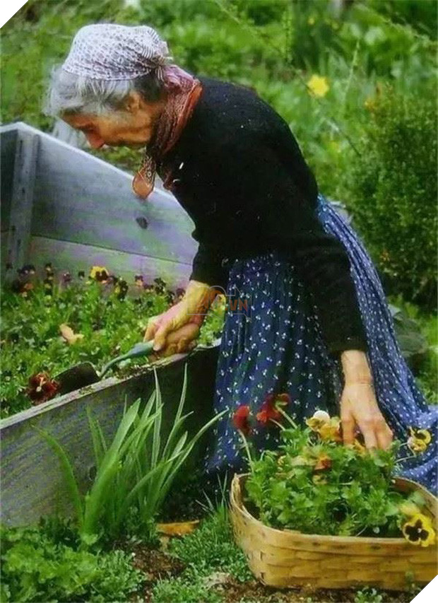 Ngôi nhà cổ tích có thật của bà cụ 92 tuổi khiến ai ai cũng phải trầm trồ, ước mơ - Ảnh 19.