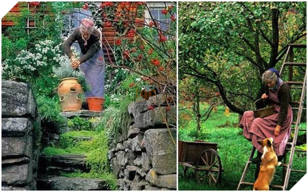 Ngôi nhà cổ tích có thật của bà cụ 92 tuổi khiến ai ai cũng phải trầm trồ, ước mơ - Ảnh 20.