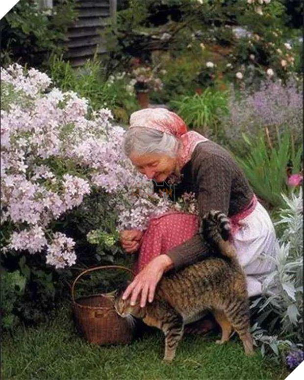 Ngôi nhà cổ tích có thật của bà cụ 92 tuổi khiến ai ai cũng phải trầm trồ, ước mơ - Ảnh 23.