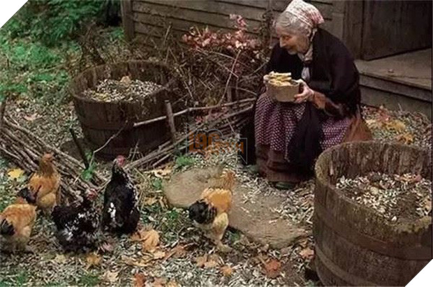 Ngôi nhà cổ tích có thật của bà cụ 92 tuổi khiến ai ai cũng phải trầm trồ, ước mơ - Ảnh 24.