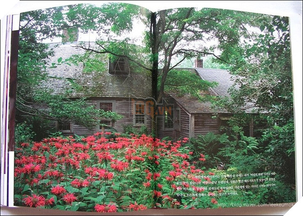 Ngôi nhà cổ tích có thật của bà cụ 92 tuổi khiến ai ai cũng phải trầm trồ, ước mơ - Ảnh 6.