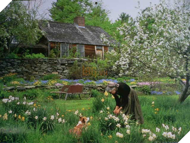 Ngôi nhà cổ tích có thật của bà cụ 92 tuổi khiến ai ai cũng phải trầm trồ, ước mơ - Ảnh 7.