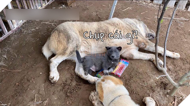 Có bạn thân đô con thế này bảo sao idol Nguyễn Văn Dúi lại vênh váo cà khịa cả mạng xã hội 10