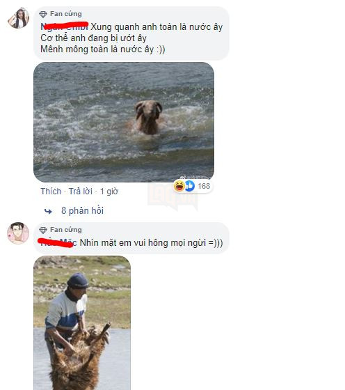 Cận cảnh tắm cừu tại Kazakhstan khiến CĐM cười điên đảo: Đây là bức ảnh phát ra âm thanh! 11