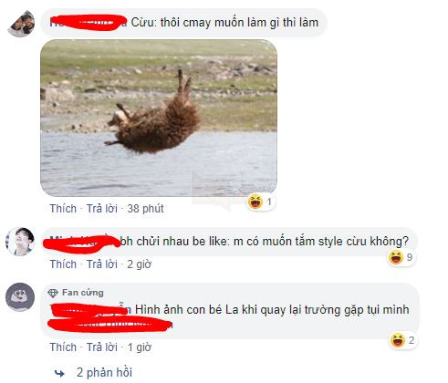 Cận cảnh tắm cừu tại Kazakhstan khiến CĐM cười điên đảo: Đây là bức ảnh phát ra âm thanh! 14