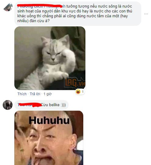 Cận cảnh tắm cừu tại Kazakhstan khiến CĐM cười điên đảo: Đây là bức ảnh phát ra âm thanh! 12