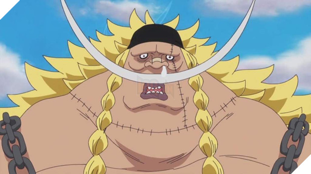 One Piece: Xếp hạng 10 cướp biển mạnh nhất Tân Thế Giới P1 