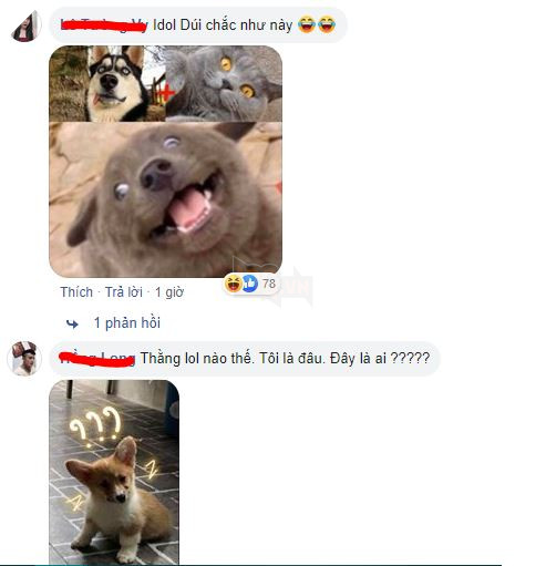 Vụng trộm sau lưng chủ, “mẹ” Corgi và “cha” Becgie cho ra đời sản phẩm nhìn như trò đùa 7