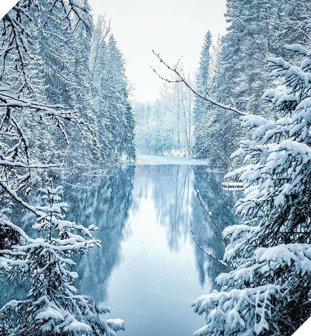 Những khoảnh khắc đẹp như bước ra từ cổ tích của các loài động vật