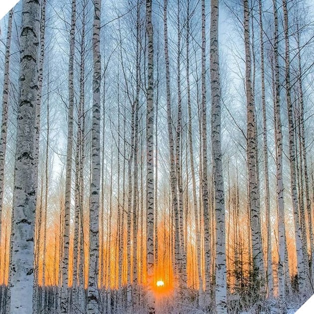 Những khoảnh khắc đẹp như bước ra từ cổ tích của các loài động vật