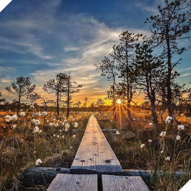 Những khoảnh khắc đẹp như bước ra từ cổ tích của các loài động vật