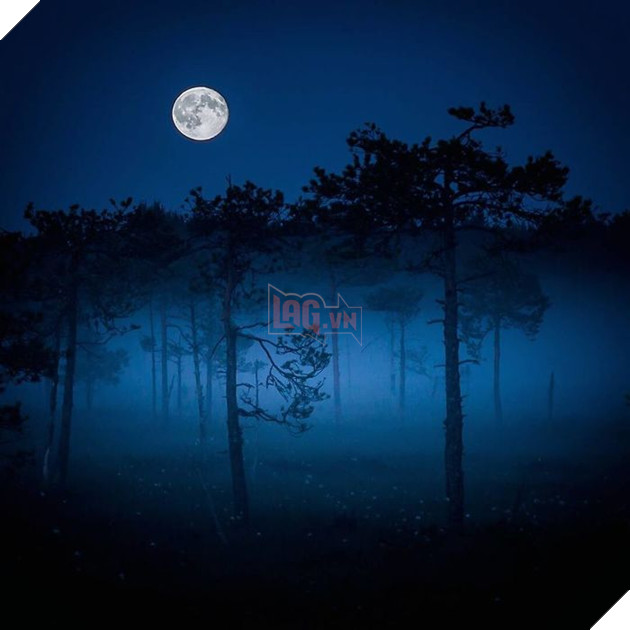 Những khoảnh khắc đẹp như bước ra từ cổ tích của các loài động vật