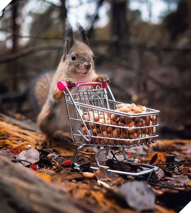 Những khoảnh khắc đẹp như bước ra từ cổ tích của các loài động vật