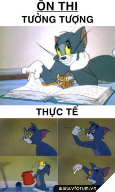 Tom & Jerry Meme là gì ? Kho tàng chế hình cực bựa của cộng đồng meme