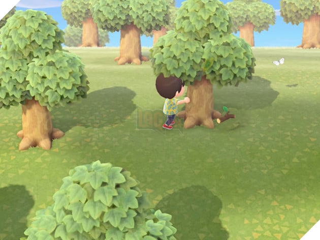 Animal Crossing: New Horizon - Hướng dẫn cơ bản để thu thập dặm 7