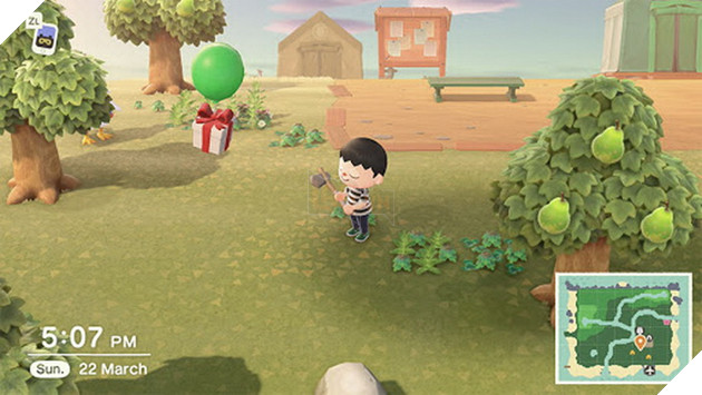 Animal Crossing: New Horizon - Cách nhanh nhất để trang trại Chuông kiếm tiền cho mọi người 5