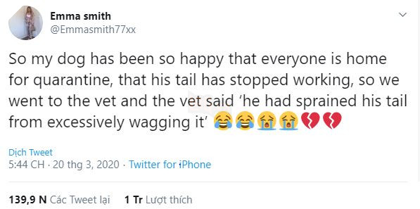 Thấy chủ lúc nào cũng ở nhà vì Covid-19, chú chó mừng quá vẫy đuôi liên tục đến nỗi bong cả gân - Ảnh 1.