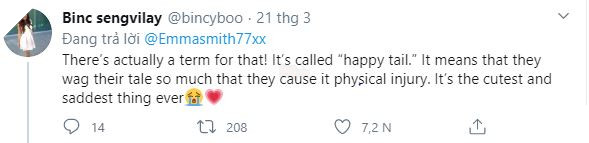 Thấy chủ lúc nào cũng ở nhà vì Covid-19, chú chó mừng quá vẫy đuôi liên tục đến nỗi bong cả gân - Ảnh 5.