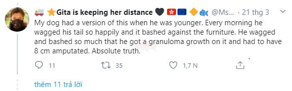 Thấy chủ lúc nào cũng ở nhà vì Covid-19, chú chó mừng quá vẫy đuôi liên tục đến nỗi bong cả gân - Ảnh 6.