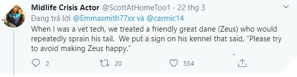 Thấy chủ lúc nào cũng ở nhà vì Covid-19, chú chó mừng quá vẫy đuôi liên tục đến nỗi bong cả gân - Ảnh 7.