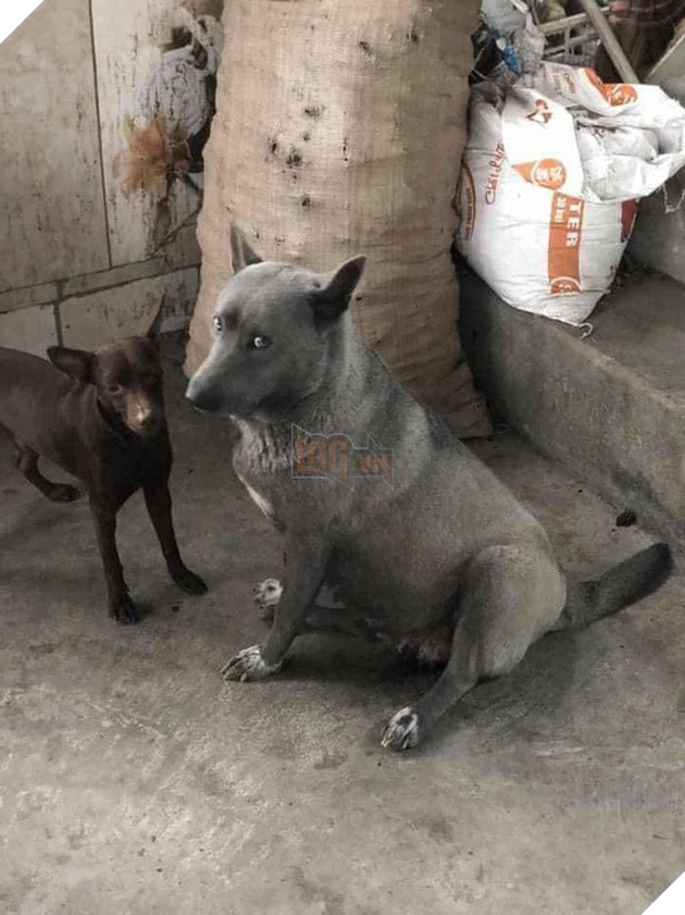 Idol Nguyễn Văn Dúi chuyển hướng sang làm Youtuber, vừa ra video đầu tiên đã bị cộng đồng mạng soi ra chân dung mẹ đẻ cực ngầu - Ảnh 2.