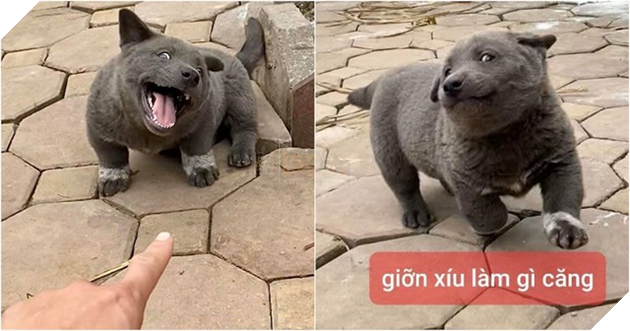 Idol Nguyễn Văn Dúi chuyển hướng sang làm Youtuber, vừa ra video đầu tiên đã bị cộng đồng mạng soi ra chân dung mẹ đẻ cực ngầu - Ảnh 1.