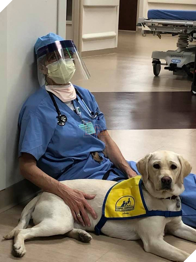 Nhân vật đặc biệt vực dậy tinh thần y bác sĩ chống dịch tại Mỹ 