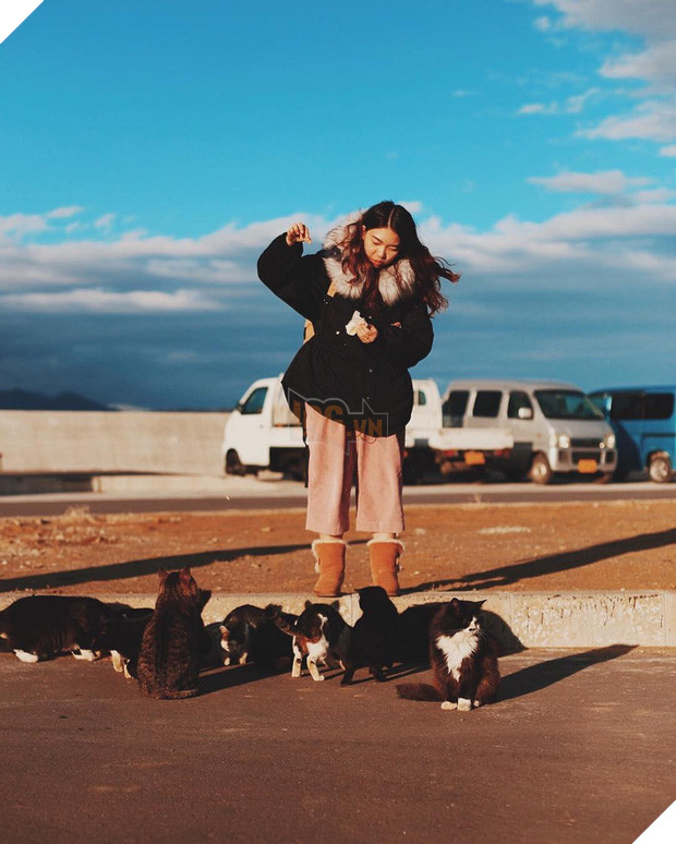 Đến thăm đảo mèo lớn nhất Nhật Bản, hội con sen đến đây thì đảm bảo sướng phát ngất! - Ảnh 2.