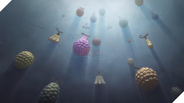 One Piece: 5 bí mật cực lớn từ khi bắt đầu truyện nhưng sau gần nghìn chap vẫn chưa được khám phá - Ảnh 1.