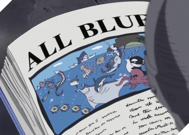 One Piece: 5 bí mật cực lớn từ khi bắt đầu truyện nhưng sau gần nghìn chap vẫn chưa được khám phá - Ảnh 4.