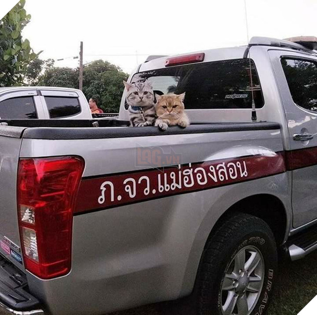 Vụ bạo động của hai người nổi tiếng khiến cảnh sát phải áp giải về đồn đầy bất ngờ tại Thái