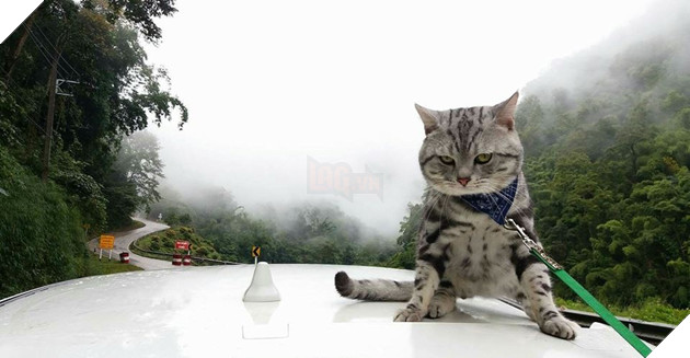 Vụ bạo động của hai người nổi tiếng khiến cảnh sát phải áp giải về đồn đầy bất ngờ tại Thái 2