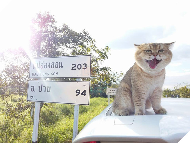 Vụ bạo động của hai người nổi tiếng khiến cảnh sát phải áp giải về đồn đầy bất ngờ tại Thái 3