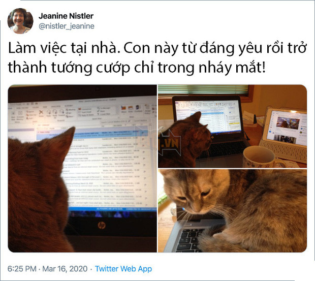 Rảnh rỗi không có gì làm, mọi người trên thế giới rủ nhau chia sẻ ảnh hoàng thượng nhà họ làm gì trong mùa cách ly 2