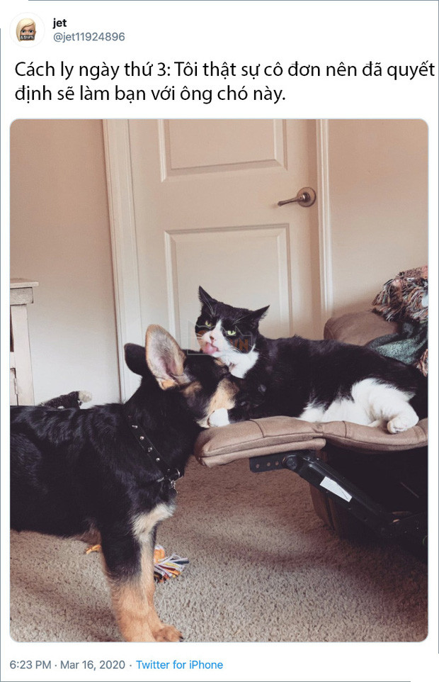 Rảnh rỗi không có gì làm, mọi người trên thế giới rủ nhau chia sẻ ảnh hoàng thượng nhà họ làm gì trong mùa cách ly 8