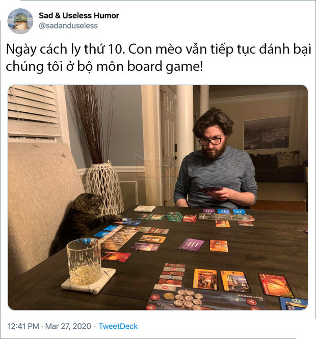 Rảnh rỗi không có gì làm, mọi người trên thế giới rủ nhau chia sẻ ảnh hoàng thượng nhà họ làm gì trong mùa cách ly 13