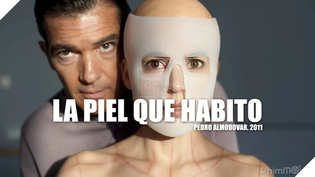 Sau The Platform, đâu là những tựa phim kinh dị 18+ Tây Ban Nha đáng xem bậc nhất?  6