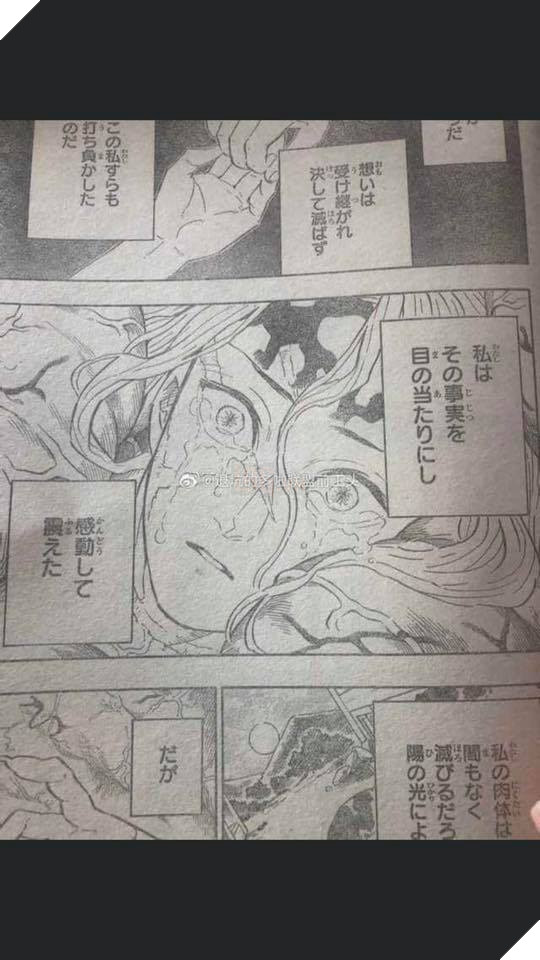 Spoiler Kimetsu No Yaiba tập 201 - Muzan đã nhập và Tanjirou, trận chiến đau thương bắt đầu 13