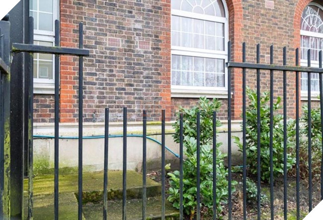 Chú mèo sống sót thần kỳ dù bị 3 thanh thép nhọn đâm qua người, và vẫn ngoan nằm chờ người tới cứu 4