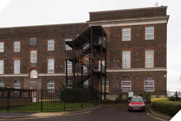 Chú mèo sống sót thần kỳ dù bị 3 thanh thép nhọn đâm qua người, và vẫn ngoan nằm chờ người tới cứu 6