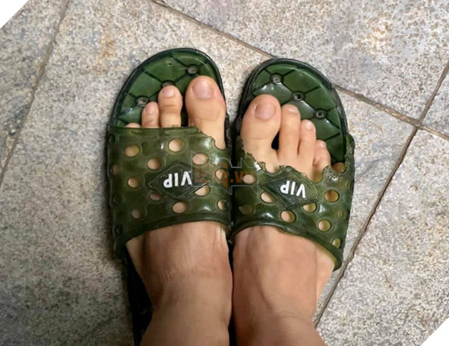 Thanh niên Dúi ở nhà nghịch dại, cắn nát đôi dép quốc dân nhưng khi bị hỏi đến thì nhanh chóng phủi bay trách nhiệm - Ảnh 2.