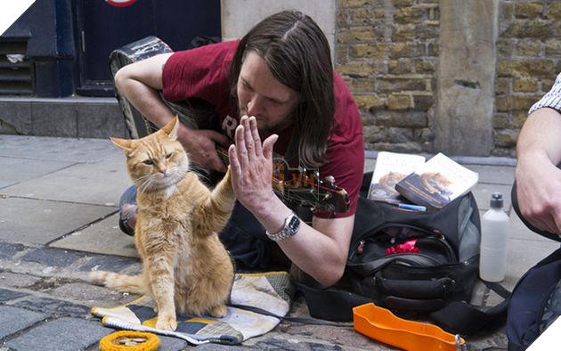 Cứu 1 con mèo hoang, người đàn ông bất ngờ đổi đời theo cách không ai nghĩ đến - Ảnh 4.