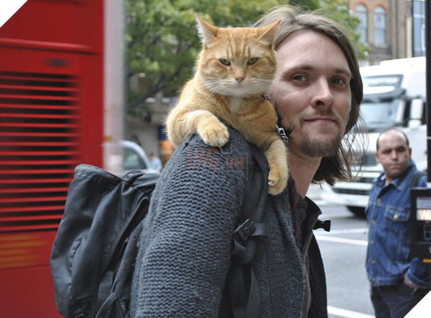 Cứu 1 con mèo hoang, người đàn ông bất ngờ đổi đời theo cách không ai nghĩ đến - Ảnh 2.