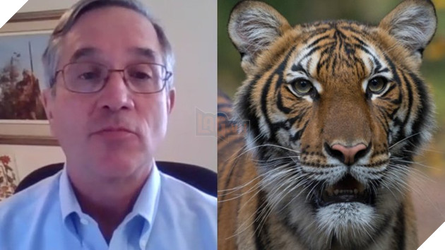 Động vật đầu tiên tại Mỹ có kết quả dương tính với Covid-19