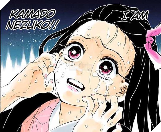 Cú lật kèo của Tanjiro: Cái kết thật hay chỉ mở đường cho diễn biến kế tiếp của Kimetsu no Yaiba? - Ảnh 3.