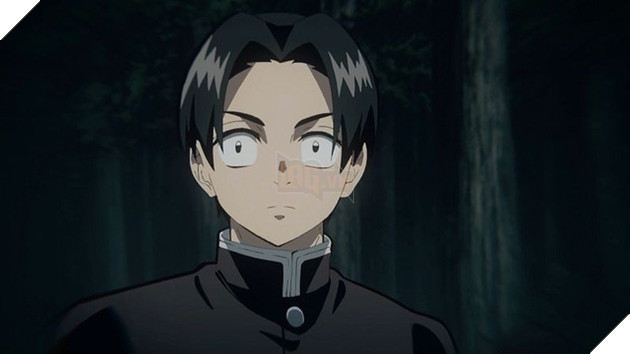 Kimetsu no Yaiba: Sau trận chiến với Muzan, Thủy và Phong là 2 trụ cột duy nhất còn sống - Ảnh 7.