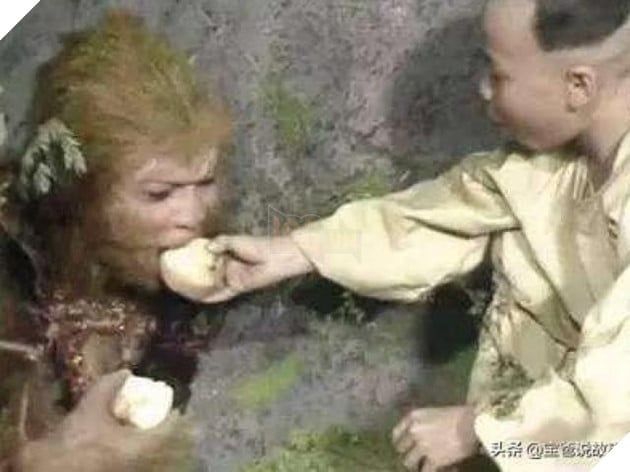  Giải mã Tây Du ký Đứa trẻ mang đào cho Tôn Ngộ Không suốt 500 năm thực chất là ai?  3