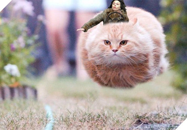 Cười bể bụng với loạt ảnh chế về cú vồ ếch để đời của Góa phụ đen Scarlett Johansson 8