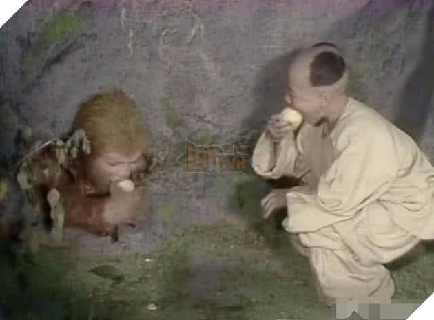  Giải mã Tây Du ký Đứa trẻ mang đào cho Tôn Ngộ Không suốt 500 năm thực chất là ai?  2